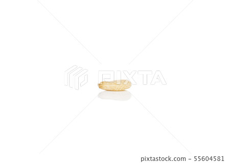Unpeeled sesame seeds isolated on white Unpeeled sesame seeds isolated on white 55604581
