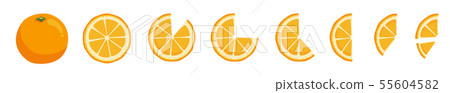 Vitamin C. Set of vector isolated elements. Bright fresh ripe juicy whole and cut orange and slices Vitamin C. Set of vector isolated elements. Bright fresh ripe juicy whole and cut orange and slices 55604582