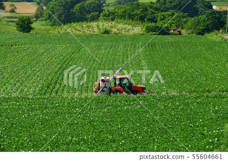 在北海道Atsuzawabe-cho的Sakai地區拍攝大豆田間防治工作的夏季景觀 在北海道Atsuzawabe-cho的Sakai地區拍攝大豆田間防治工作的夏季景觀 55604661