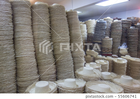 Panama Hats Waiting For Finishing Touches Panama Hats Waiting For Finishing Touches 55606741
