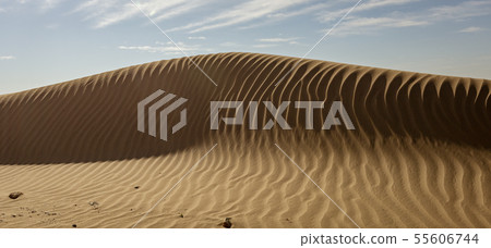 Sand dune with rippled pattern Sand dune with rippled pattern 55606744