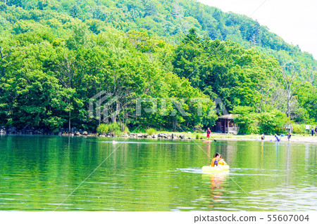 夏季Wakoto半島的弟子屈町 55607004