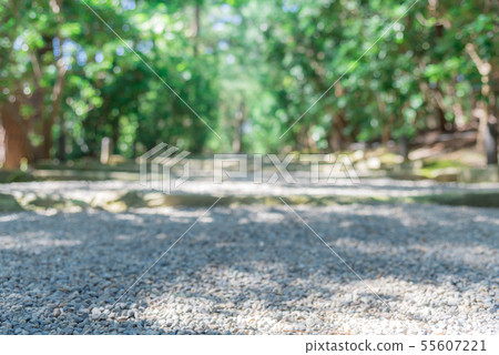 新綠色背景迷離 新綠色背景迷離 55607221