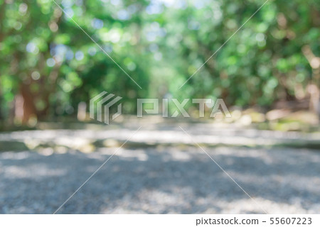 新綠色背景迷離 新綠色背景迷離 55607223