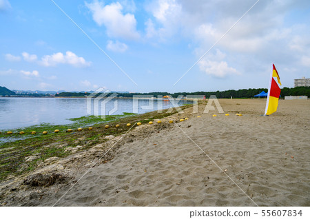 金澤海洋公園 55607834