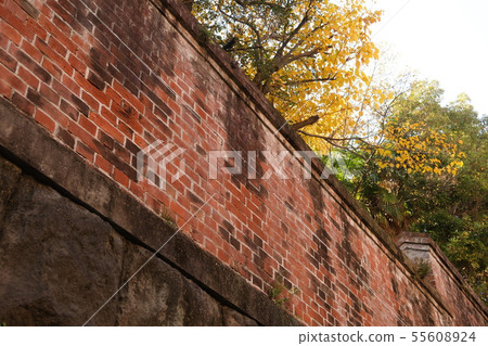 Brick wall 55608924