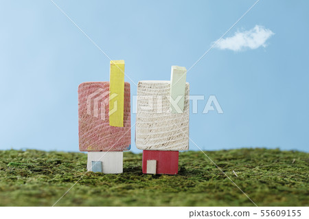 small house  55609155