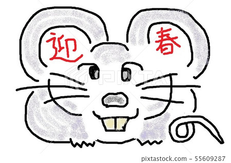 2020年生肖 2020年生肖 55609287