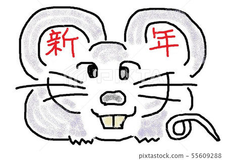 2020年生肖 2020年生肖 55609288