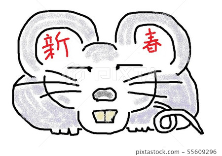 2020年生肖 55609296