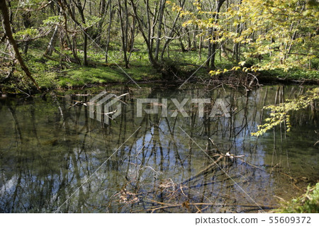 Okue Highland Pond Okue Highland Pond 55609372