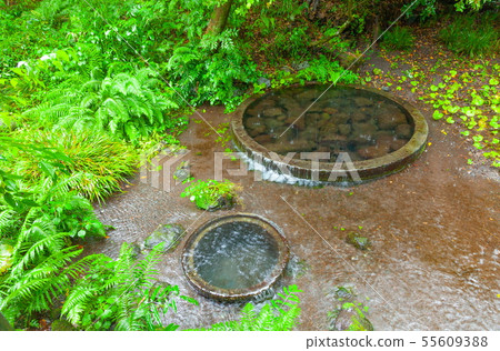 東洋，蒲田河泉，下田，清水最好的泉水 55609388