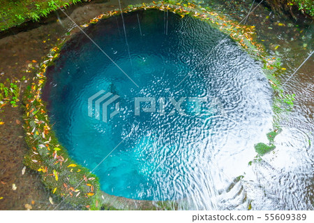 The best springs in the Toyo, Kamata River springs, Shimoda, Shimizu The best springs in the Toyo, Kamata River springs, Shimoda, Shimizu 55609389