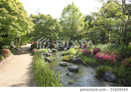 Fresh green scenery of Japanese garden in Sakai City Daisen Park Fresh green scenery of Japanese garden in Sakai City Daisen Park 55609394