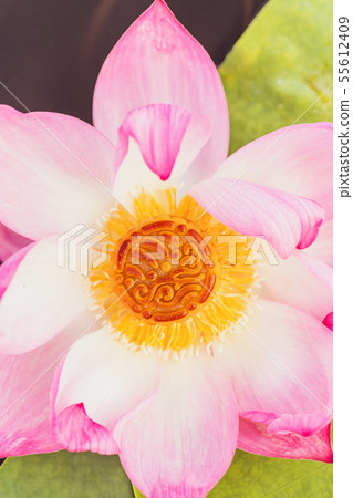 Chinese mid-autumn festival food.  55612409