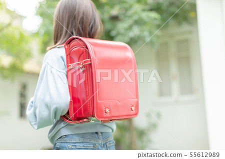 girl, child, kid 55612989