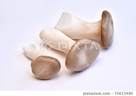 Mushroom (eryngii) Mushroom (eryngii) 55613490