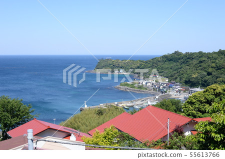 海 海 55613766