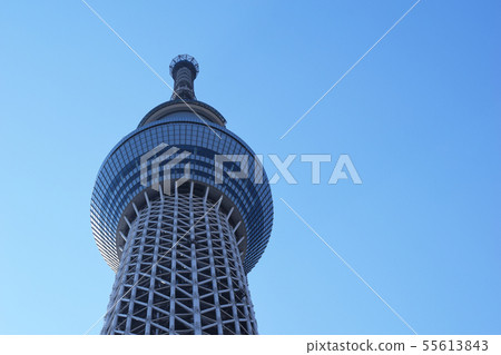 Tokyo Sky Tree and blue sky 55613843