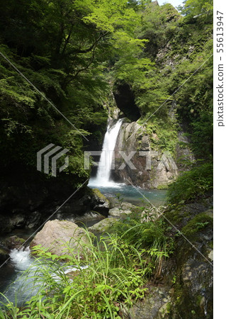 Tokashima Okadaki Falls in the back of Naga 55613947