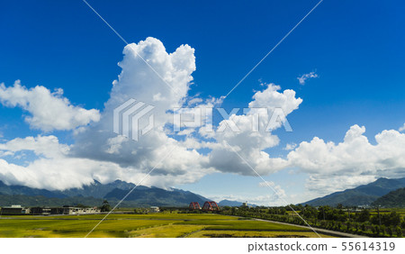 花東縱谷聞稻香田園風情畫 55614319