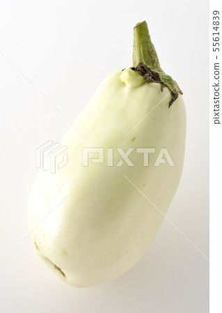White eggplant White eggplant 55614839