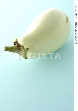 白茄子 白茄子 55615049
