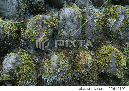 Stone concrete Stone concrete 55616191