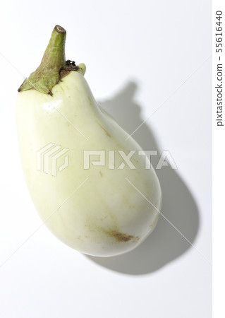 White eggplant White eggplant 55616440