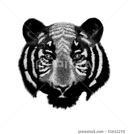Grunge tiger face Grunge tiger face 55632270