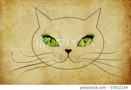 Grunge cat face with green eyes 55632284