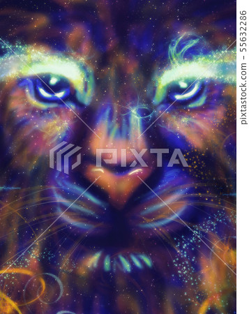 Galaxy Lion Galaxy Lion 55632286