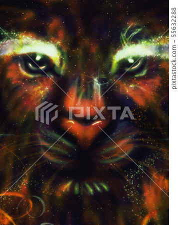 Galaxy Lion Galaxy Lion 55632288