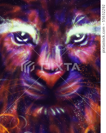 Galaxy Lion Galaxy Lion 55632292