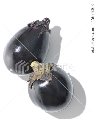 Eggplant Eggplant 55636368