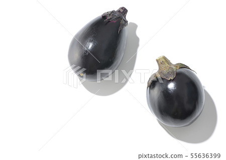 Eggplant 55636399