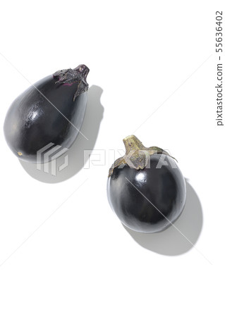 Eggplant 55636402