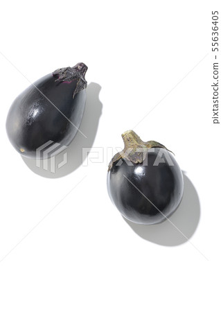 Eggplant 55636405