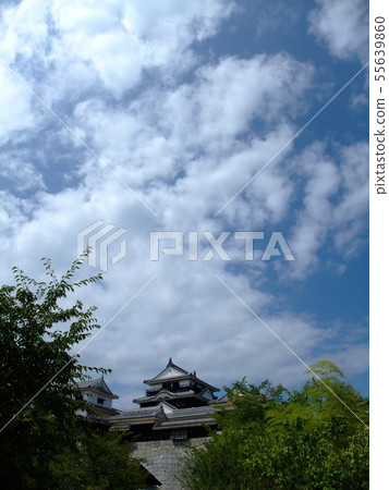 松山城:四國的代表性城堡 松山城:四國的代表性城堡 55639860