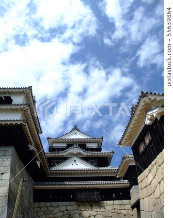 松山城:四國的代表性城堡 松山城:四國的代表性城堡 55639864