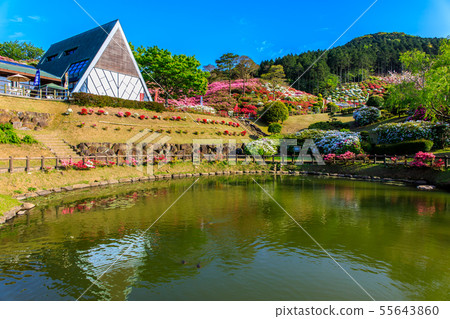 長久山公園杜鵑花節[長崎縣佐世保市Kokamachi] 55643860