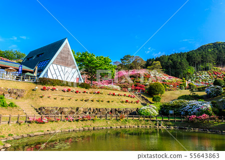 長久山公園杜鵑花節[長崎縣佐世保市Kokamachi] 55643863