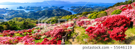 Nagasushiyama Park Azalea Festival, panoramic view of Kujuku Island [Kokamachi, Sasebo City, Nagasaki Prefecture] 55646119
