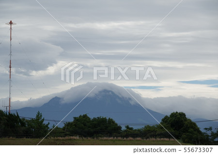 Oyama Oyama 55673307