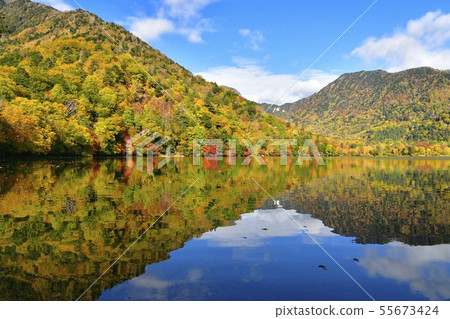 Mountains of autumn leaves that fall in the back of Nikko and Yunoko in autumn 55673424