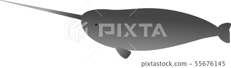 獨角鯨 55676145