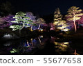Yushien Illumination 55677658