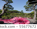 Yushien 55677672