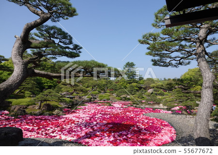 Yushien Yushien 55677672