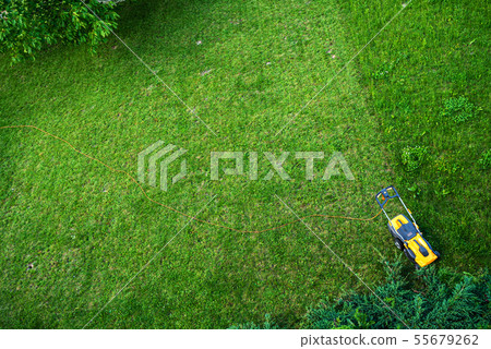 Working men working lawn care Working men working lawn care 55679262